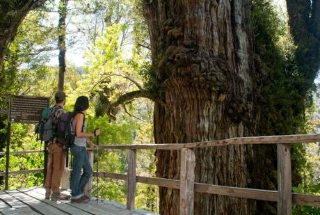 Trip to Chile Tour Operator