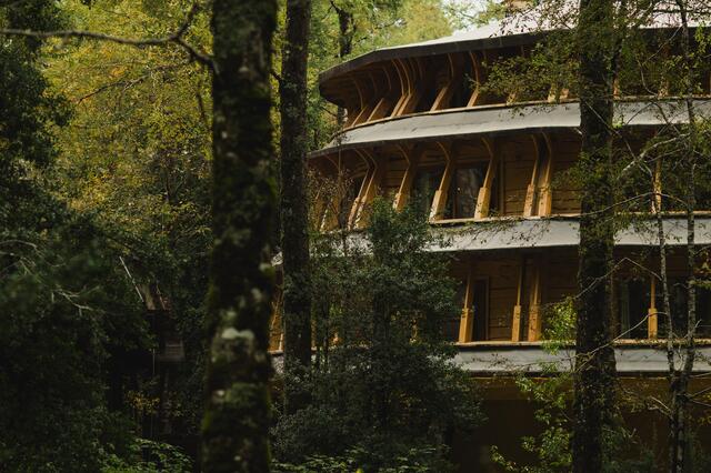Accomodation_Reino-Fungi_EXT_002-d2ce0689.jpg
