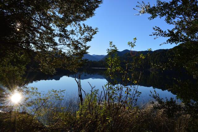 lago-y-bosque-67c078b7.jpg