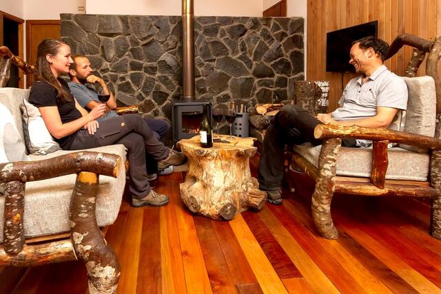 Araucaria_living_1500pix_ChileWild-06e01b10.jpg