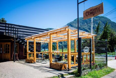 Café Cowilij