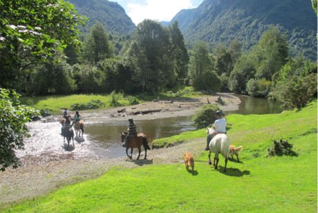 Tour Operador Ecoturismo La Pancha