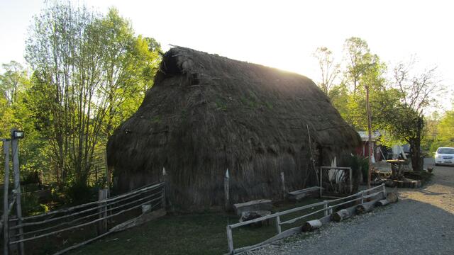 20210514190627_IMG_0035-ca78abee.jpg