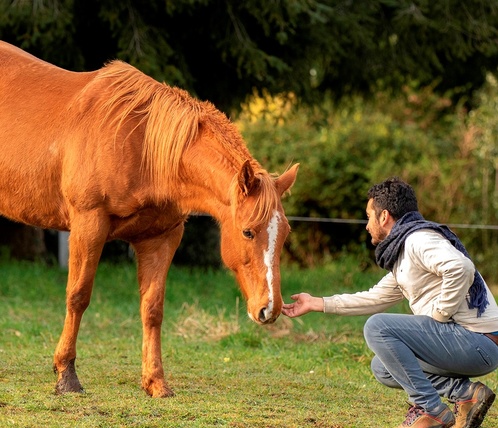 Libertad_a_Libertad_Conociendo_a_tu_caballo_.jpg