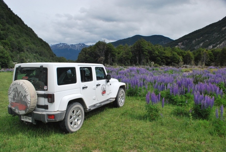 Slow Andes Roads