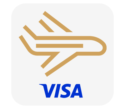 Visa Icon